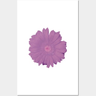 Purple Daisy Flower Posters and Art